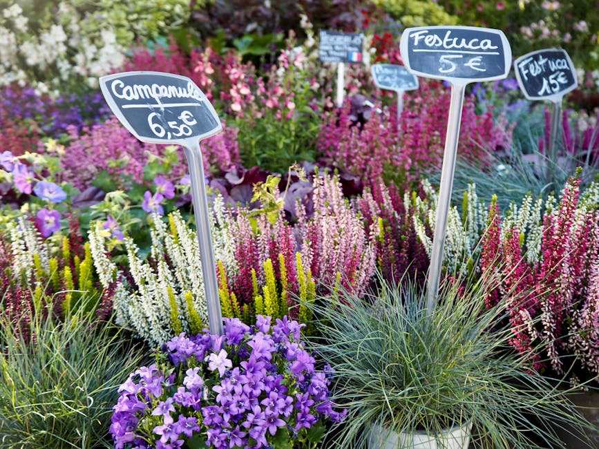 A vibrant display of various flowering plants with purple petunias in the foreground, arranged among tall, spiky grasses. Behind them, there are dense clusters of pink and white heathers, with an asso
