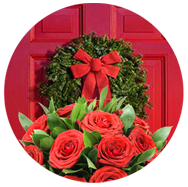 CHRISTMAS FLOWERS